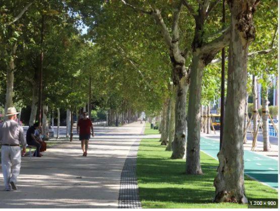 Alleanza, Aires De Guadalquivir Sevilla Exteriér fotografie